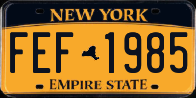 NY license plate FEF1985