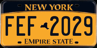NY license plate FEF2029