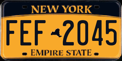 NY license plate FEF2045