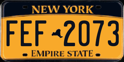 NY license plate FEF2073