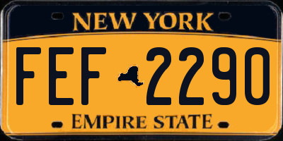 NY license plate FEF2290