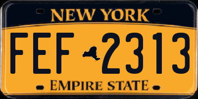 NY license plate FEF2313
