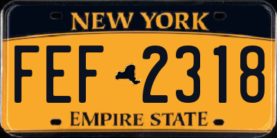 NY license plate FEF2318