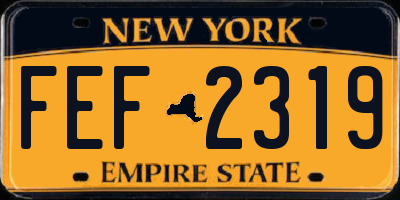 NY license plate FEF2319