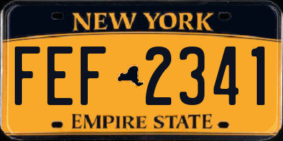 NY license plate FEF2341