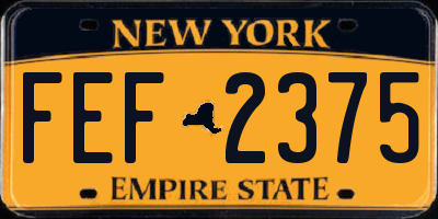 NY license plate FEF2375
