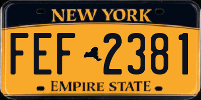 NY license plate FEF2381