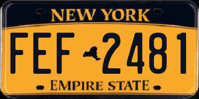 NY license plate FEF2481