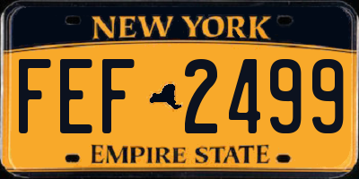 NY license plate FEF2499