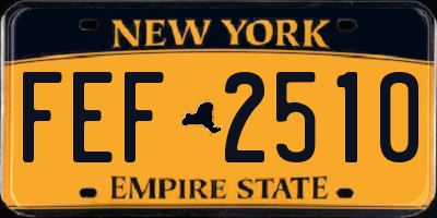 NY license plate FEF2510