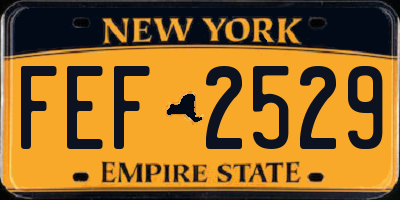 NY license plate FEF2529
