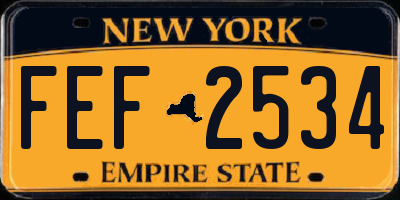 NY license plate FEF2534