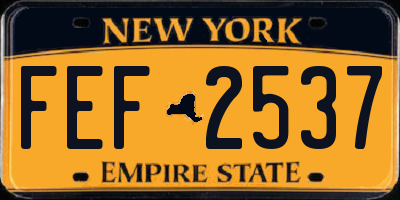NY license plate FEF2537