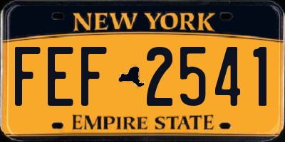 NY license plate FEF2541