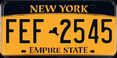 NY license plate FEF2545