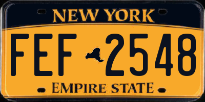 NY license plate FEF2548