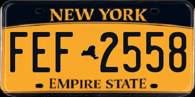 NY license plate FEF2558