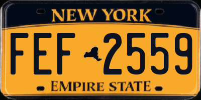 NY license plate FEF2559
