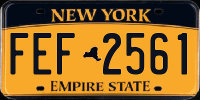 NY license plate FEF2561
