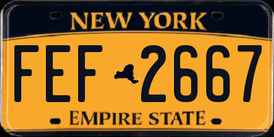 NY license plate FEF2667