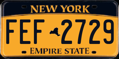 NY license plate FEF2729