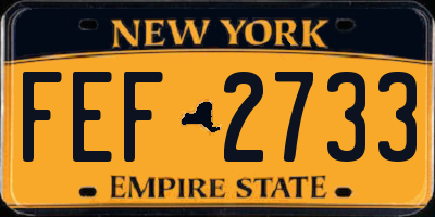 NY license plate FEF2733