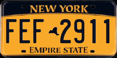 NY license plate FEF2911