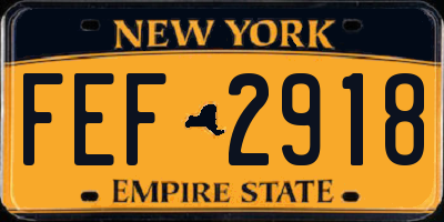 NY license plate FEF2918