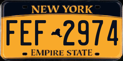 NY license plate FEF2974