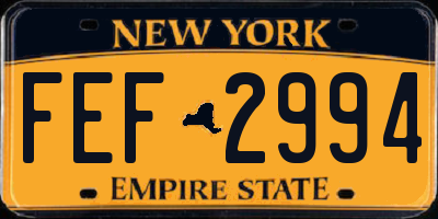 NY license plate FEF2994
