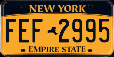 NY license plate FEF2995