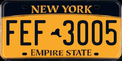 NY license plate FEF3005
