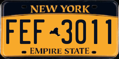 NY license plate FEF3011