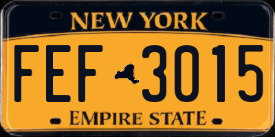 NY license plate FEF3015