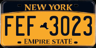 NY license plate FEF3023