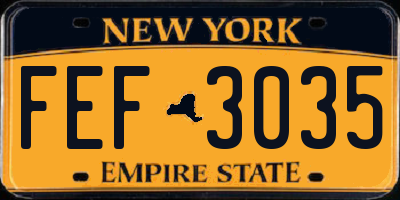 NY license plate FEF3035