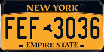 NY license plate FEF3036