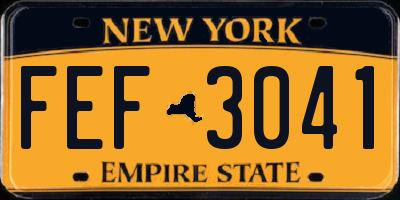 NY license plate FEF3041