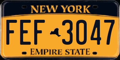 NY license plate FEF3047