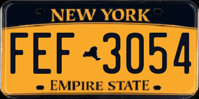 NY license plate FEF3054