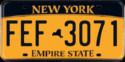 NY license plate FEF3071