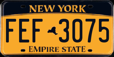 NY license plate FEF3075