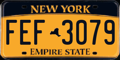 NY license plate FEF3079