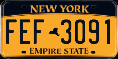 NY license plate FEF3091