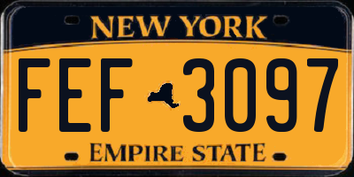 NY license plate FEF3097