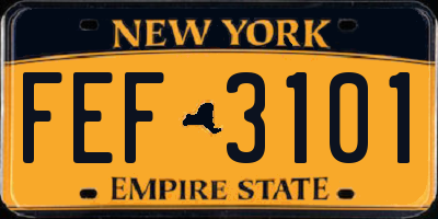 NY license plate FEF3101
