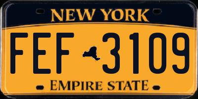NY license plate FEF3109