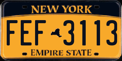 NY license plate FEF3113