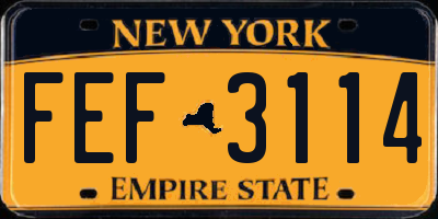 NY license plate FEF3114