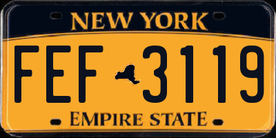 NY license plate FEF3119
